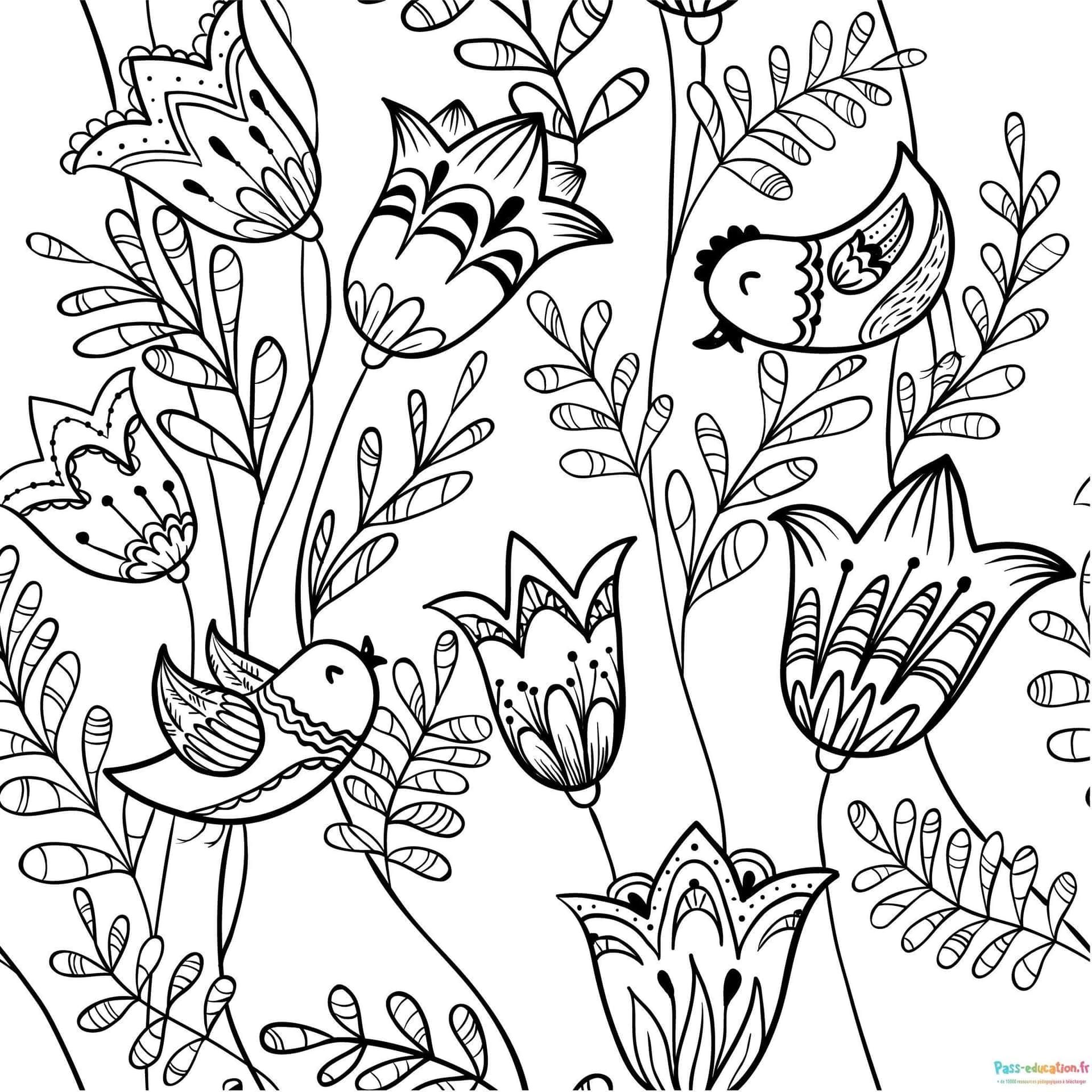 Coloriage Oiseaux et fleurs à imprimer et colorier