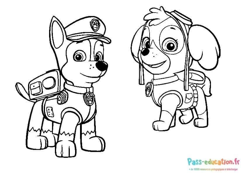 Coloriage Chiots Pat' Patrouille à imprimer et colorier