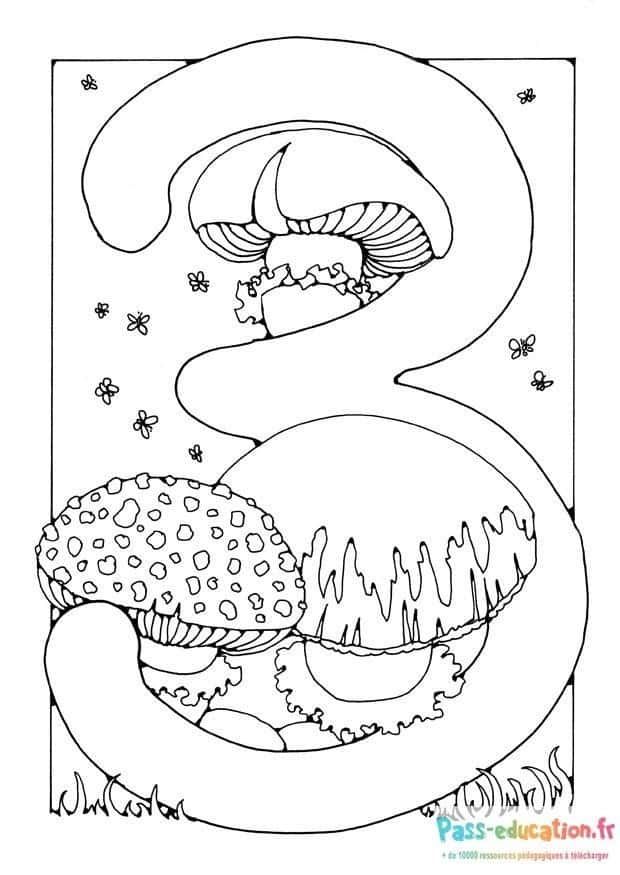 Coloriage Serpent et champignons à imprimer et colorier