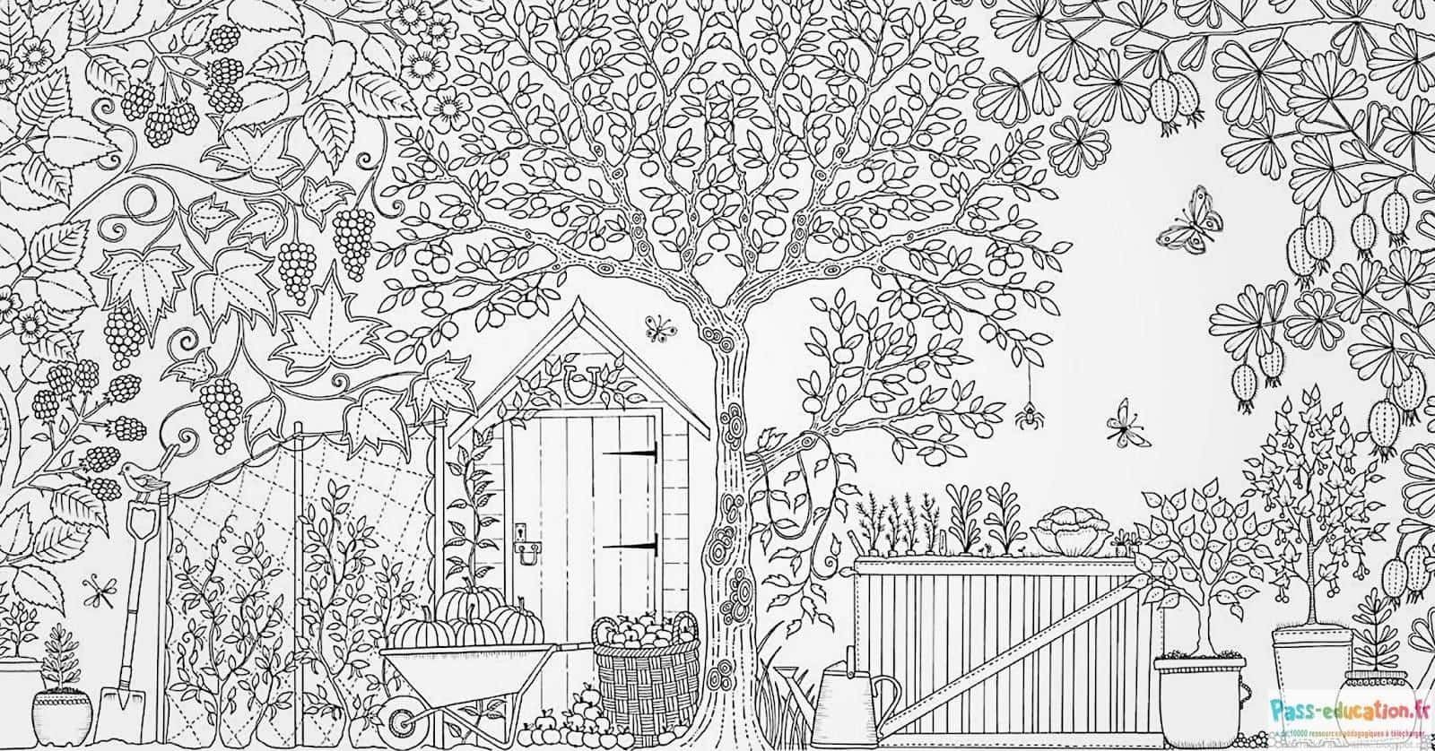 Coloriage Jardin secret à imprimer et colorier
