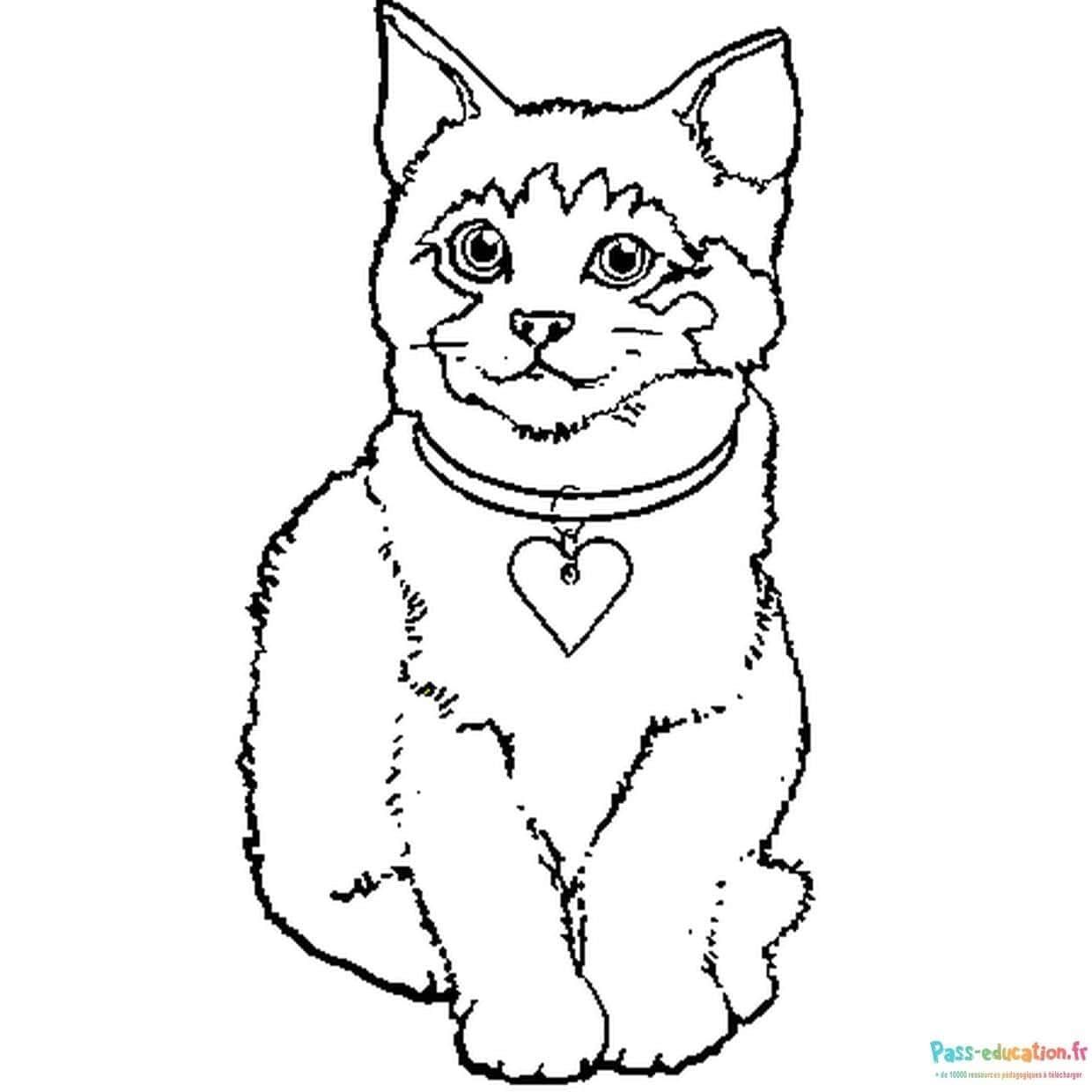 Coloriage Chat souriant à imprimer et colorier
