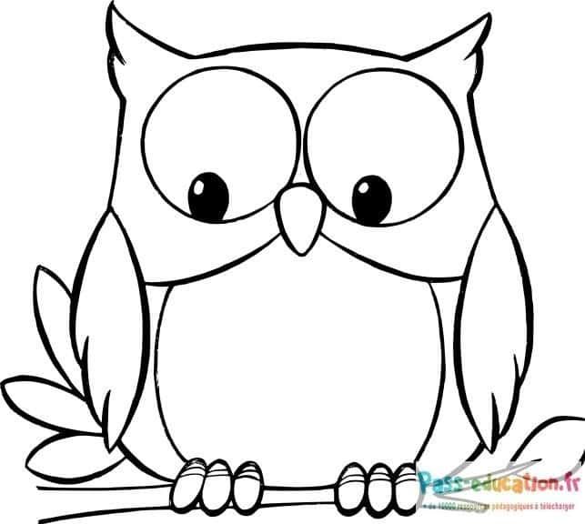 Coloriage Hibou sur branche à imprimer et colorier