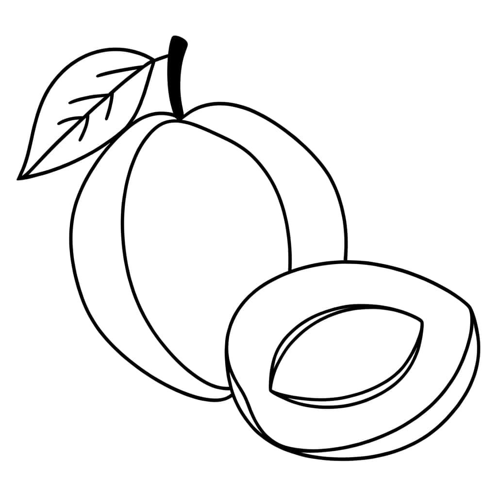 Coloriage Abricot coupé à imprimer et colorier