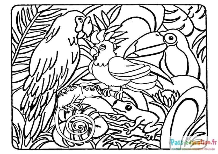 Coloriage Jungle animée à imprimer et colorier
