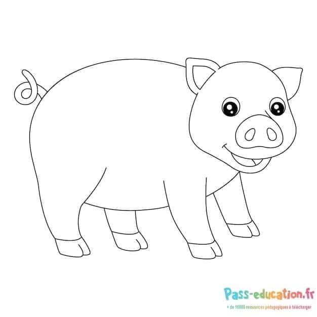 Coloriage Sourire de cochon à imprimer et colorier