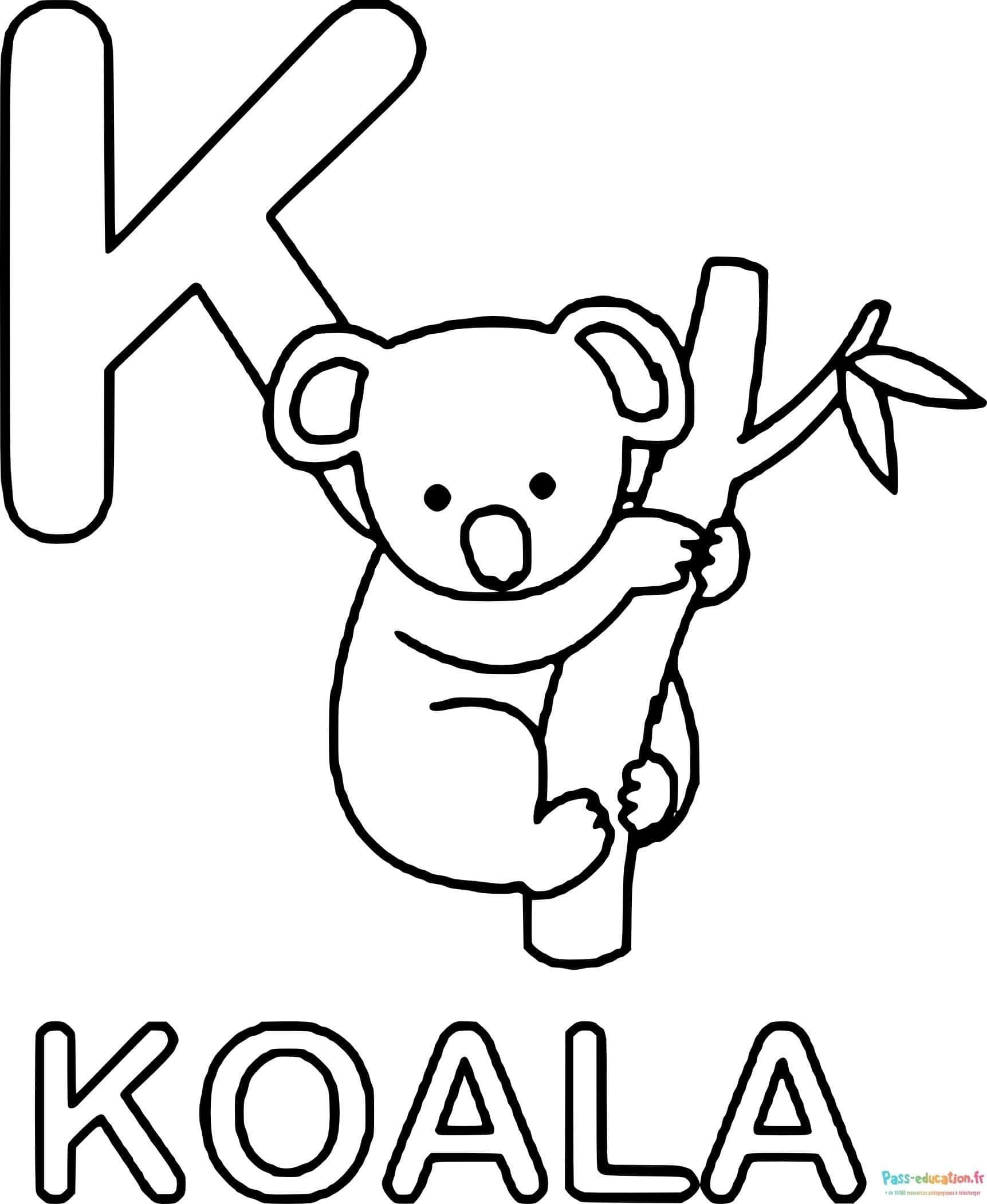 Coloriage Koala joueur à imprimer et colorier