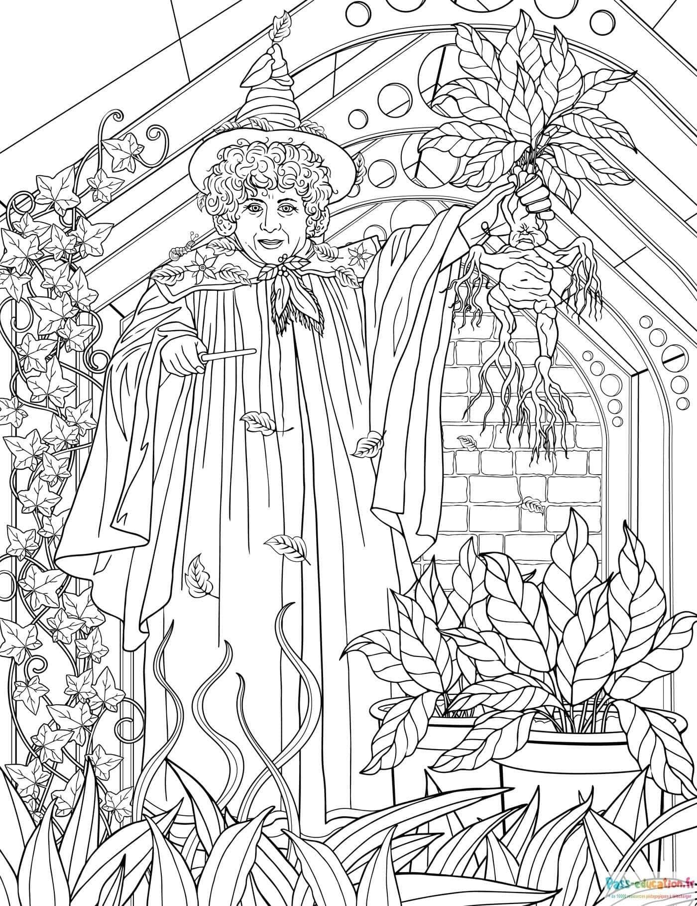 Coloriage Magicien à Poudlard à imprimer et colorier
