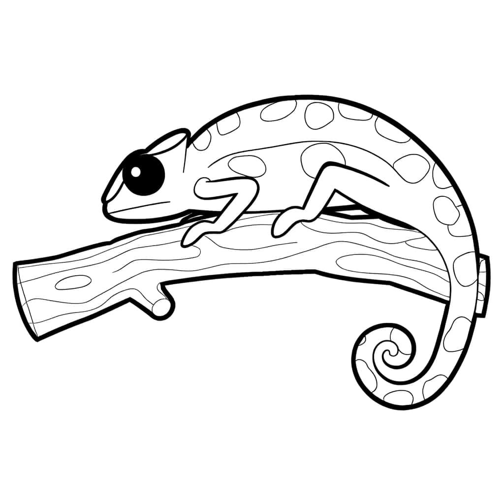 Coloriage Caméléon sur branche à imprimer et colorier
