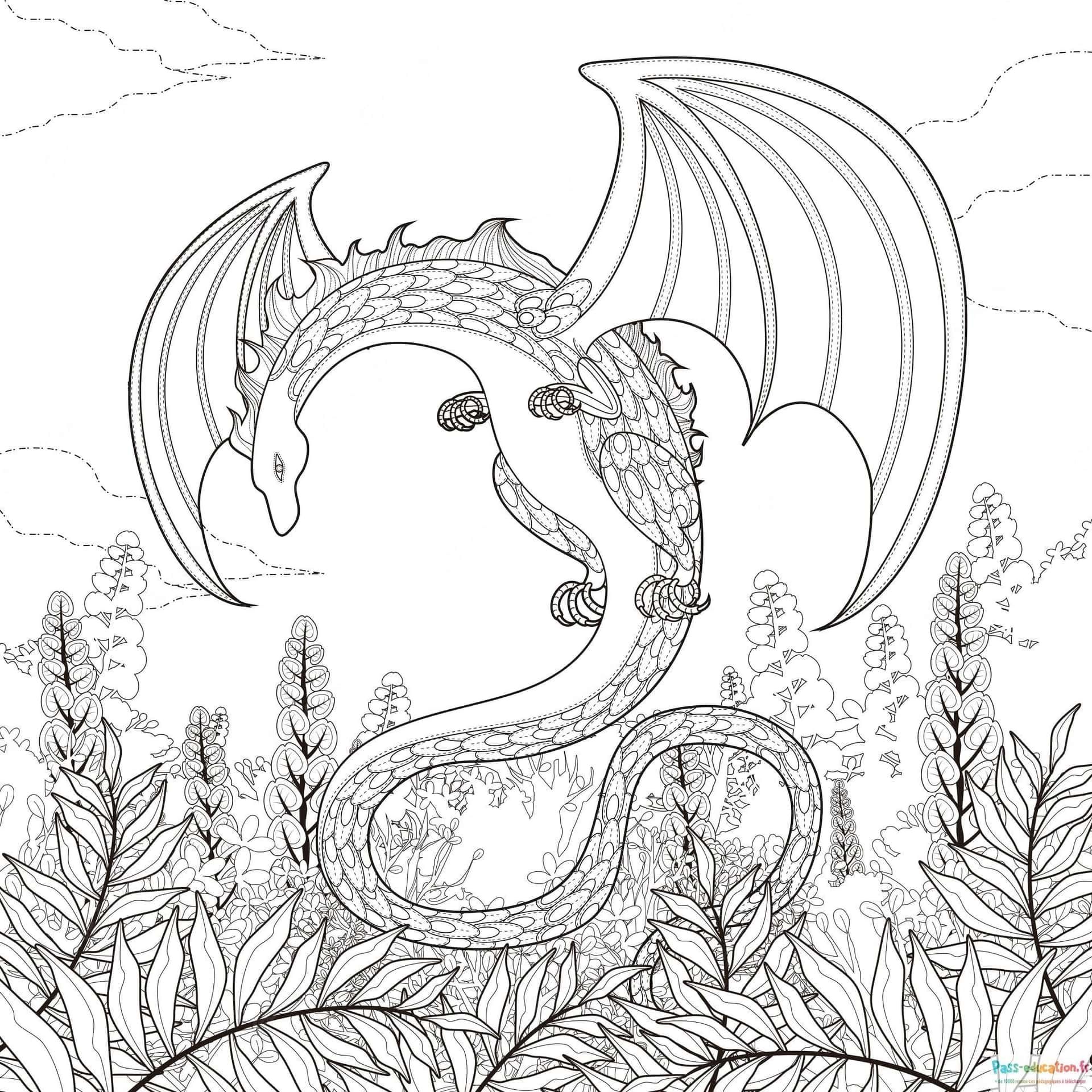 Coloriage Dragon majestueux à imprimer et colorier