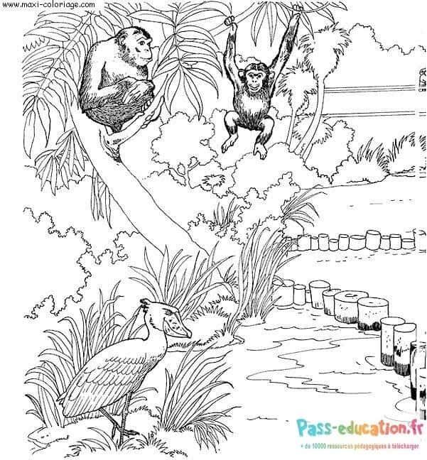 Coloriage Animaux au zoo à imprimer et colorier