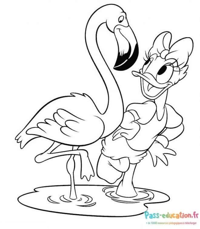 Coloriage Danse flamants roses à imprimer et colorier