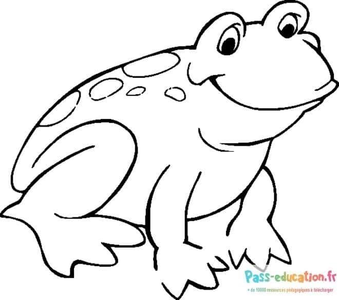 Coloriage Grenouille souriante à imprimer et colorier