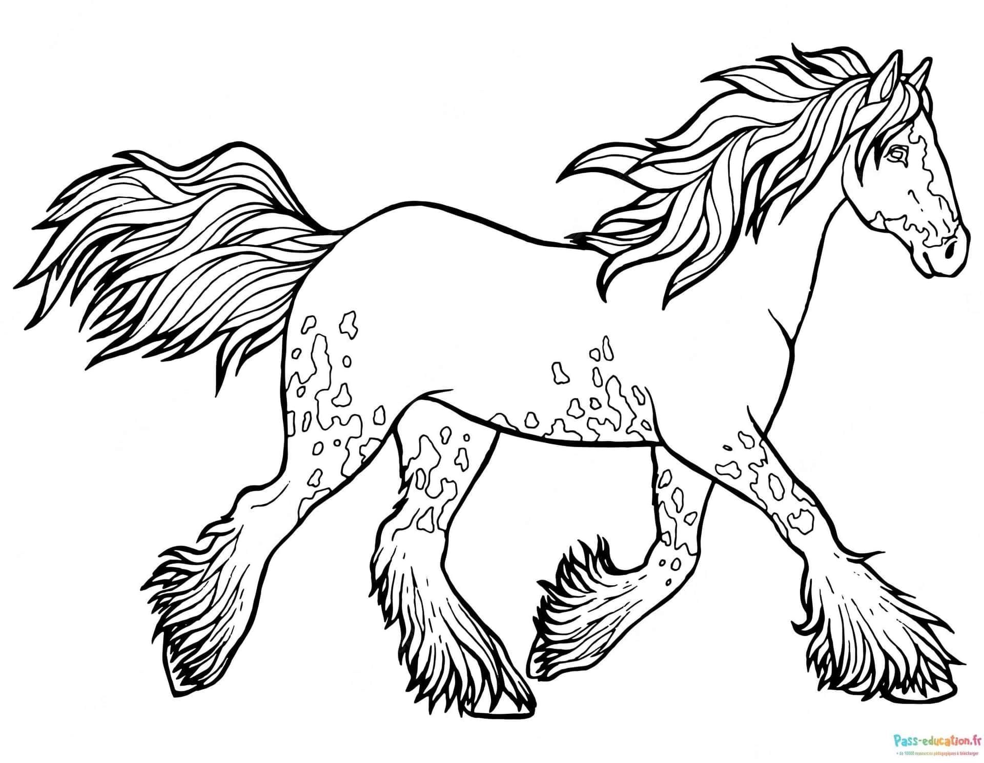Coloriage Cheval au galop à imprimer et colorier