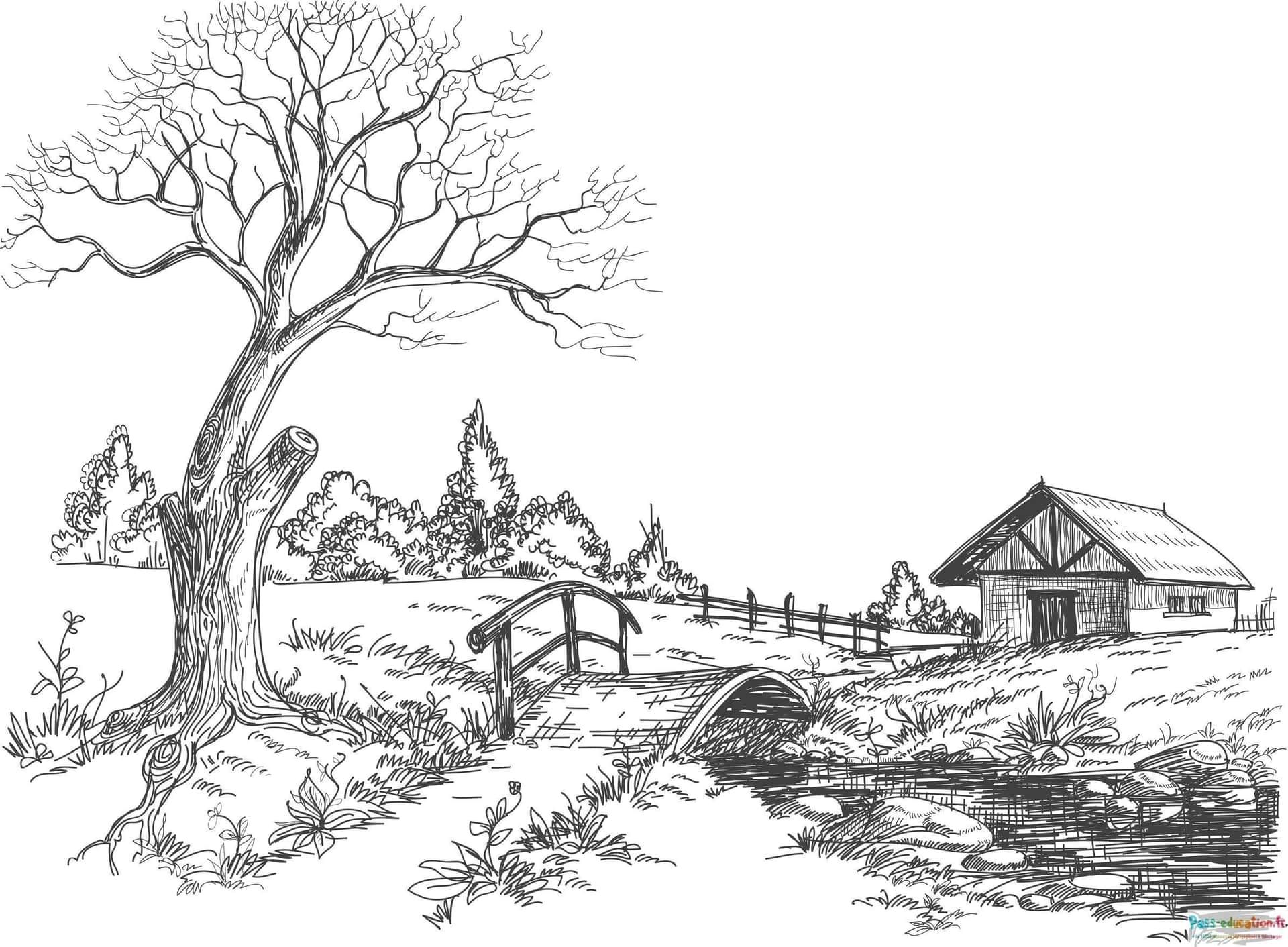 Coloriage Paysage champêtre à imprimer et colorier