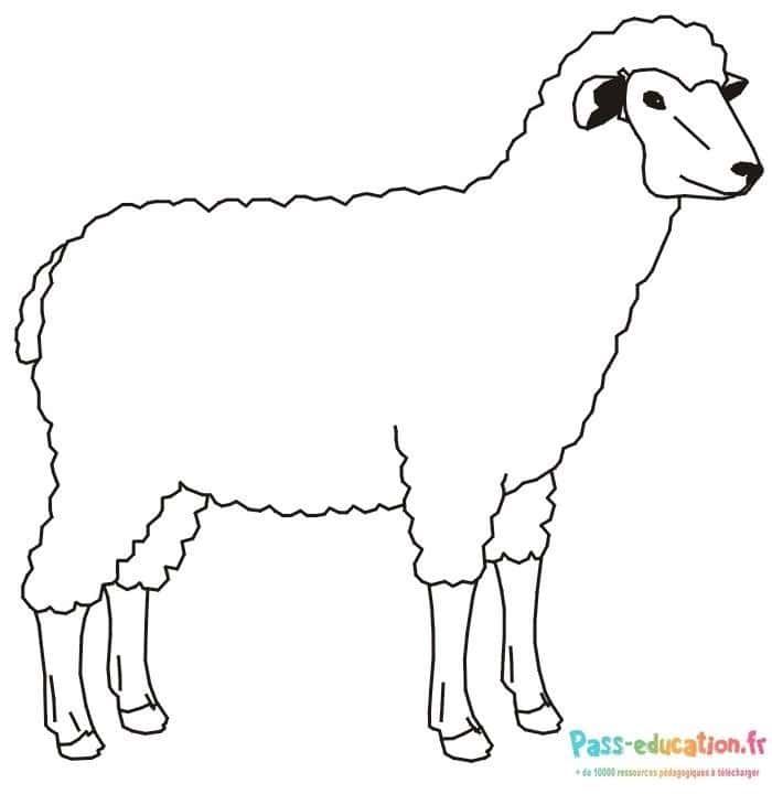 Coloriage Mouton à imprimer et colorier