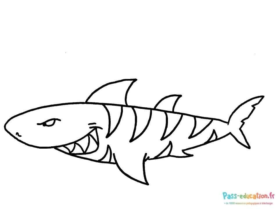 Coloriage Requin souriant à imprimer et colorier