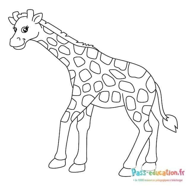 Coloriage Girafe souriante à imprimer et colorier