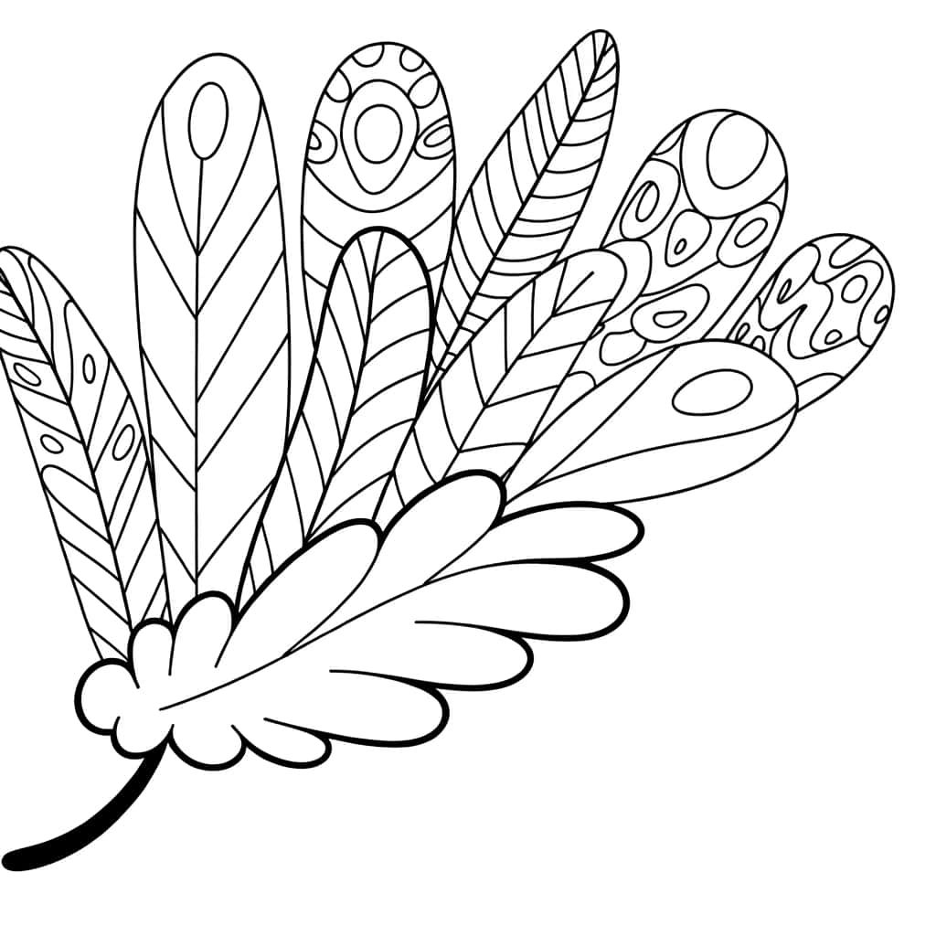 Coloriage Aile de plumes à imprimer et colorier