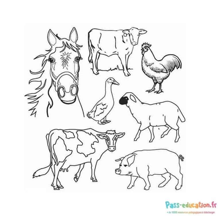 Coloriage Animaux de ferme à imprimer et colorier
