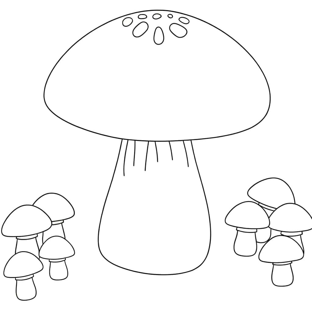 Coloriage Grand champignon à imprimer et colorier