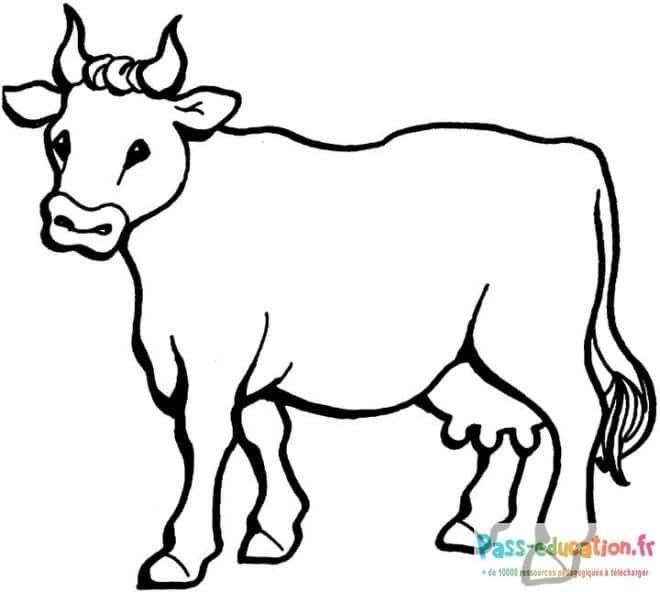 Coloriage Vache paisible à imprimer et colorier