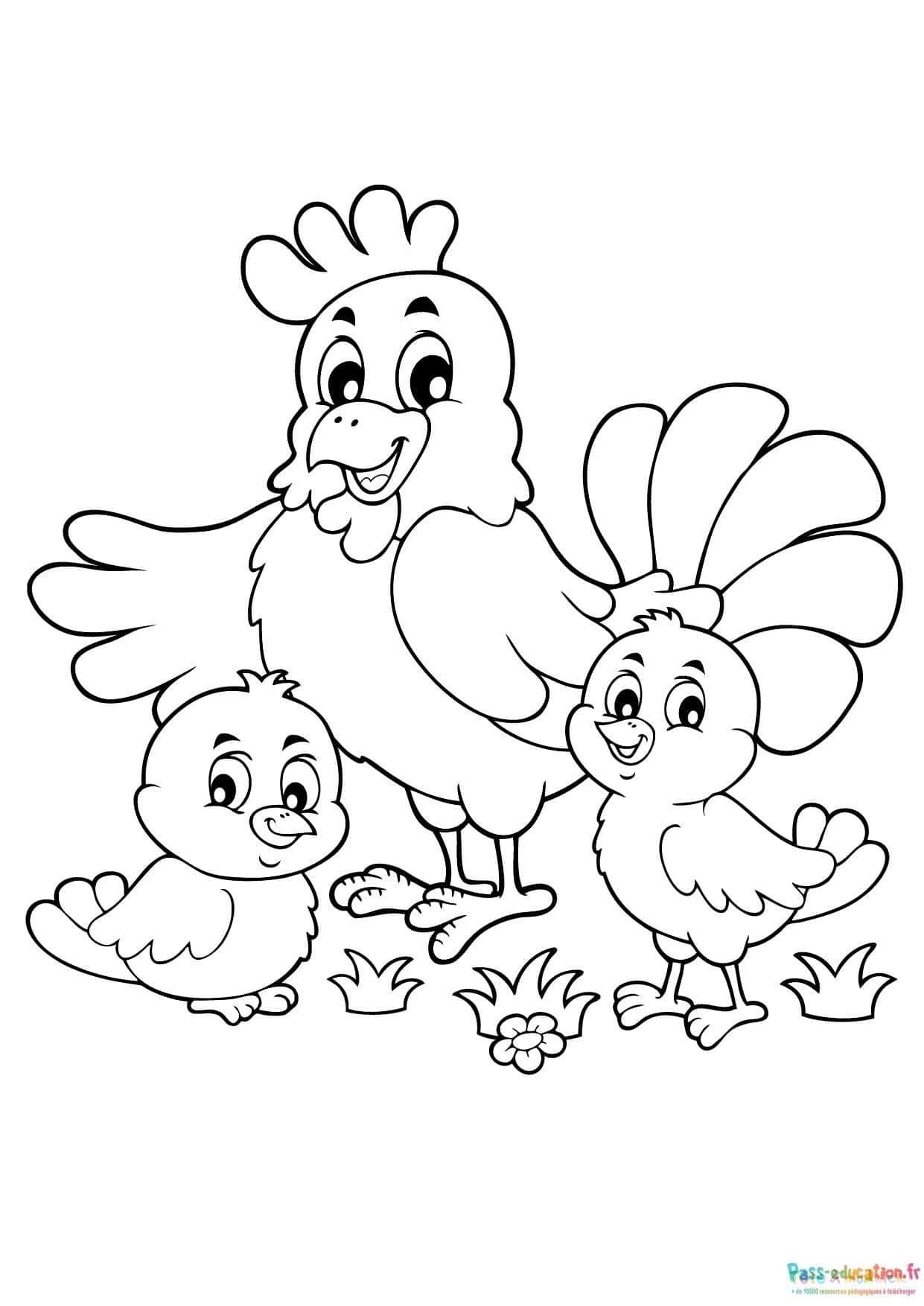 Coloriage Famille de poulets à imprimer et colorier