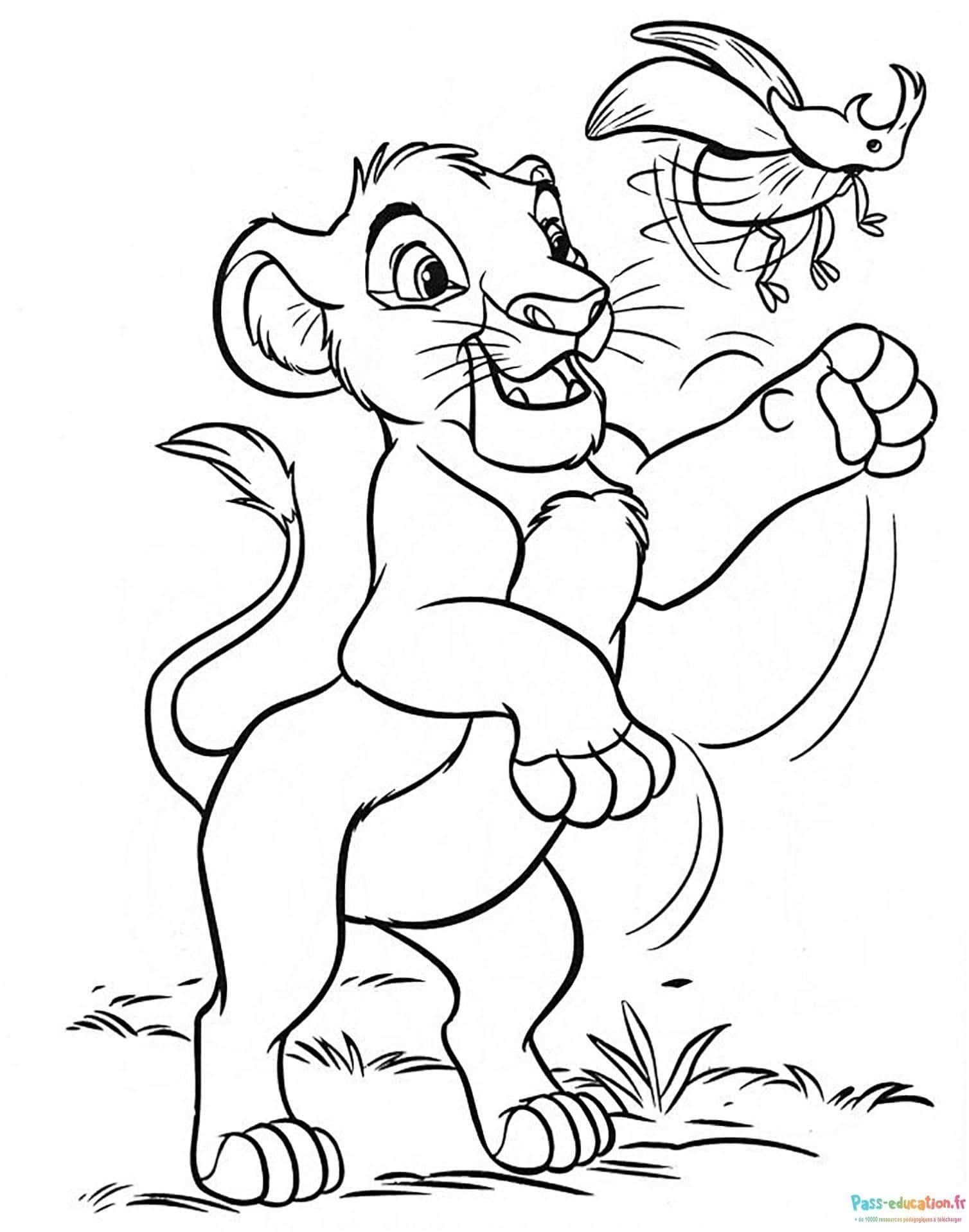 Coloriage Lion et perroquet à imprimer et colorier