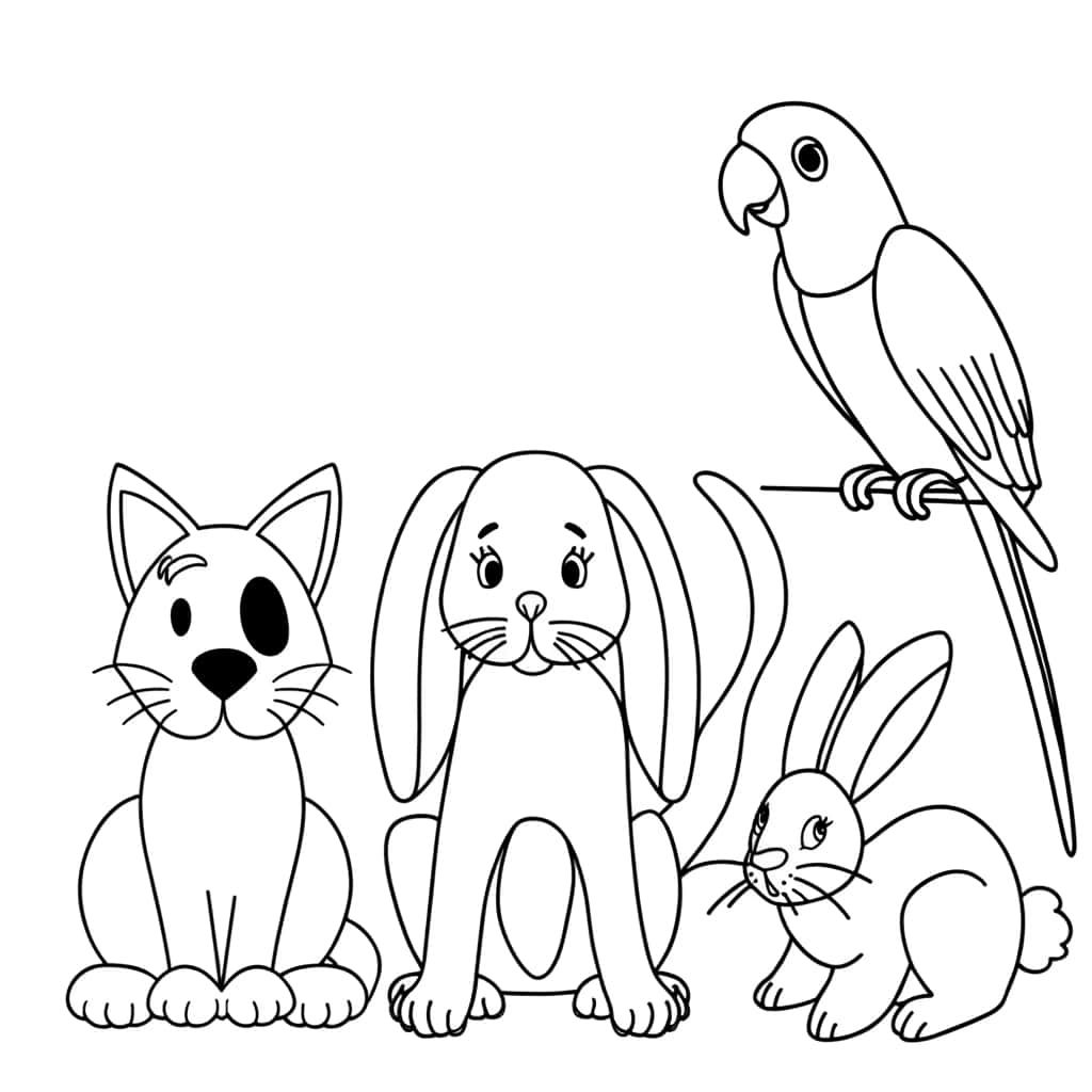 Coloriage Animaux domestiques à imprimer et colorier