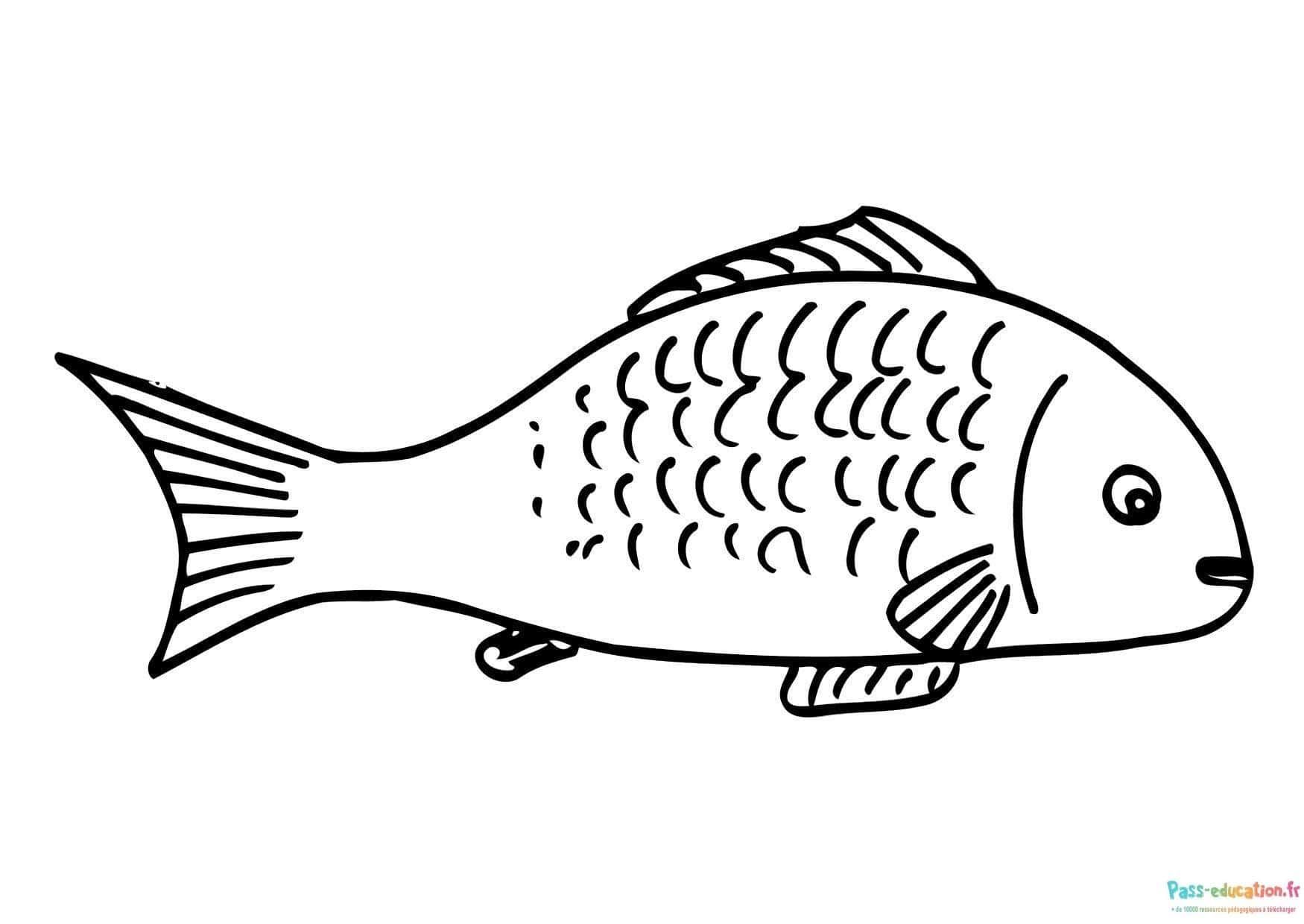 Coloriage Poisson à décorer à imprimer et colorier