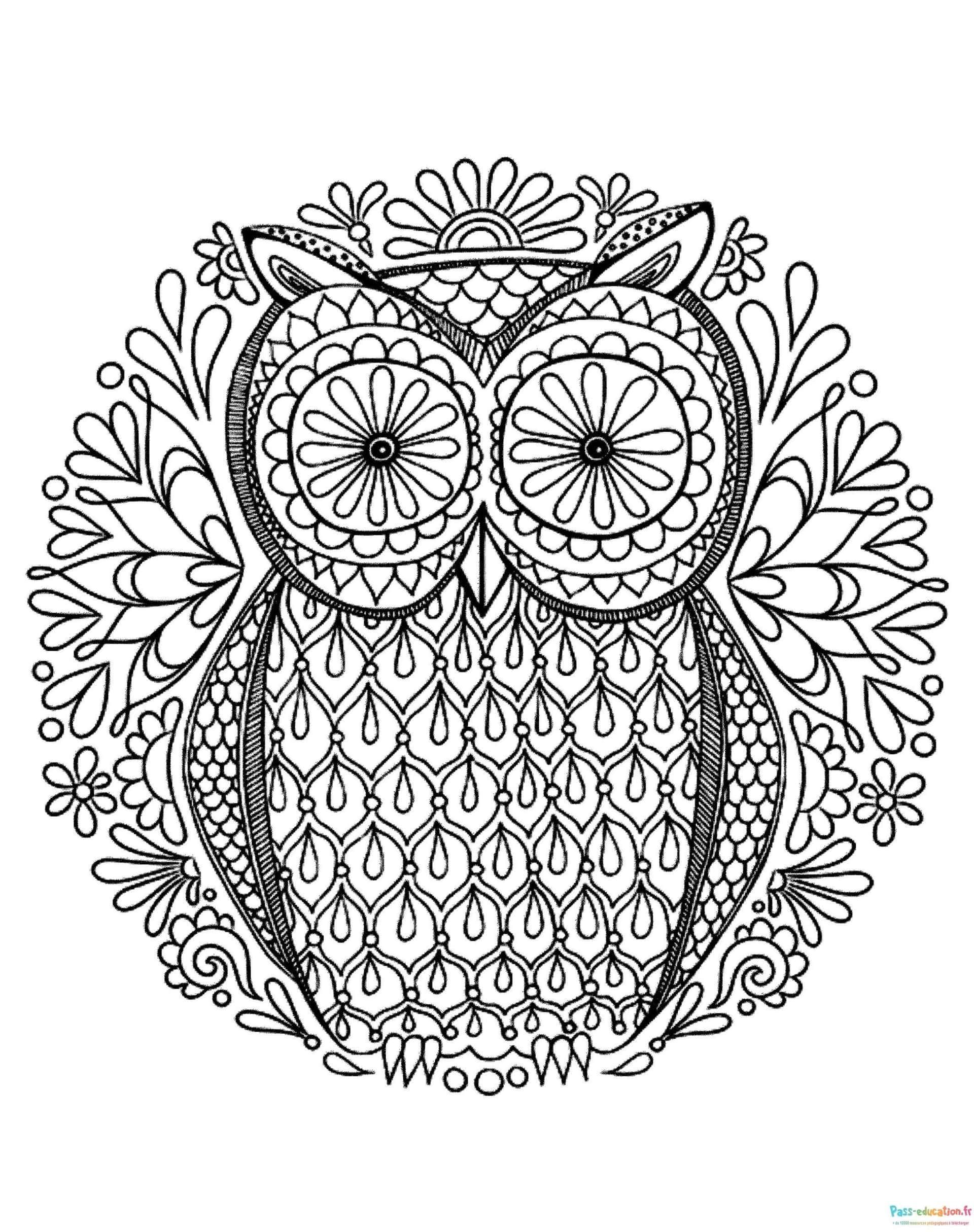 Coloriage Hibou Mandala à imprimer et colorier