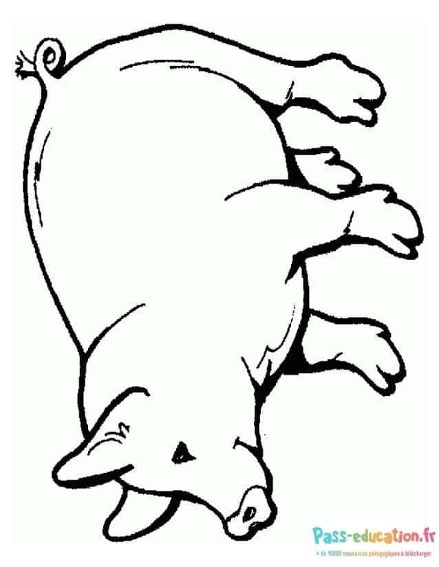 Coloriage Cochon à la renverse à imprimer et colorier