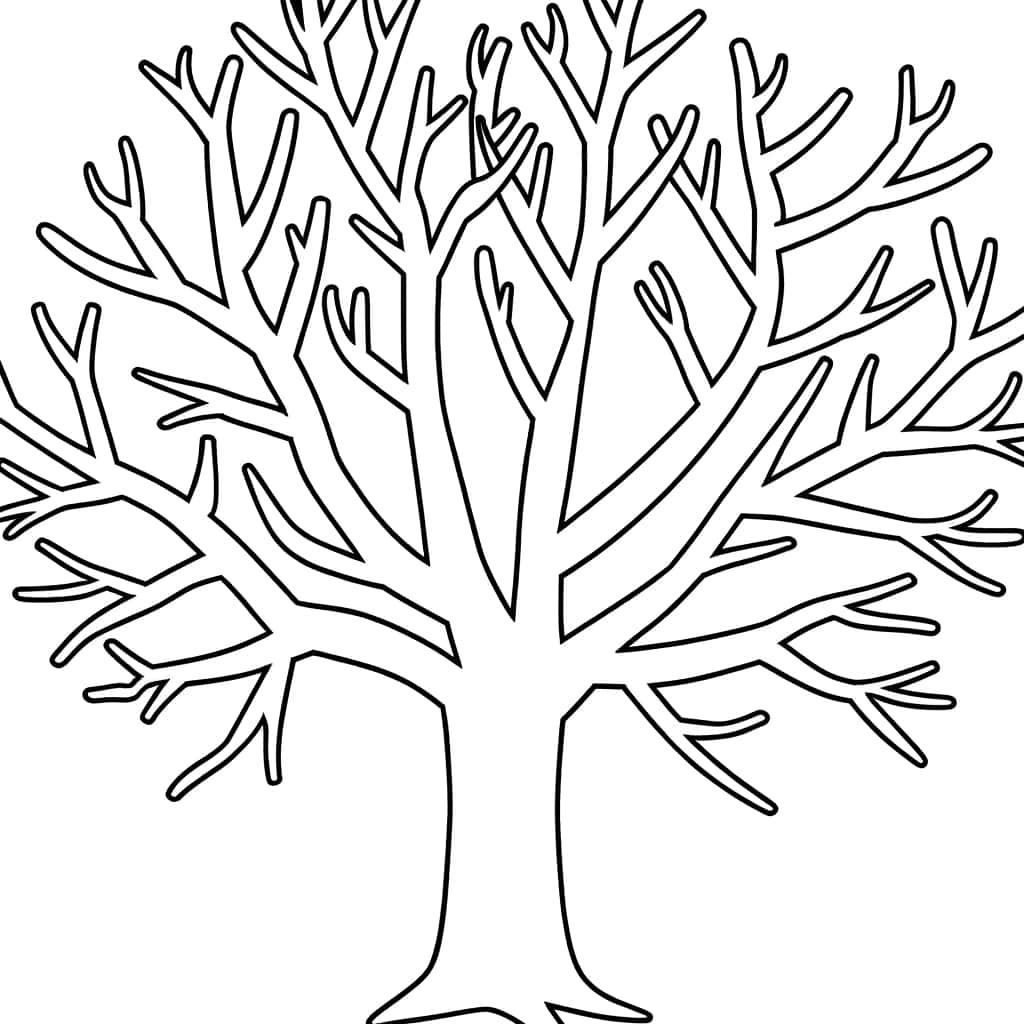 Coloriage Arbre Nu à imprimer et colorier