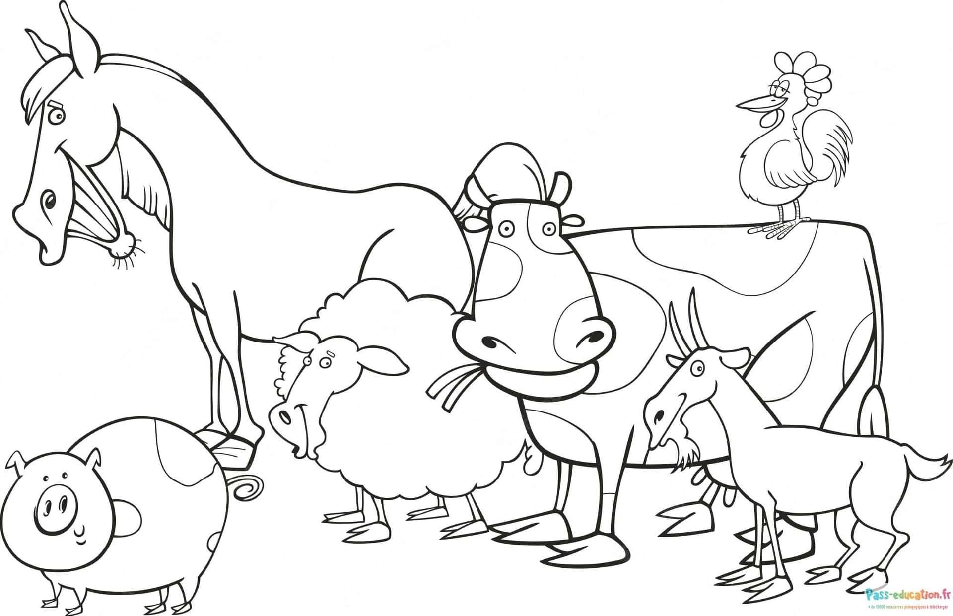 Coloriage Animaux de la ferme à imprimer et colorier