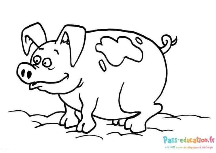 Coloriage Cochon souriant à imprimer et colorier