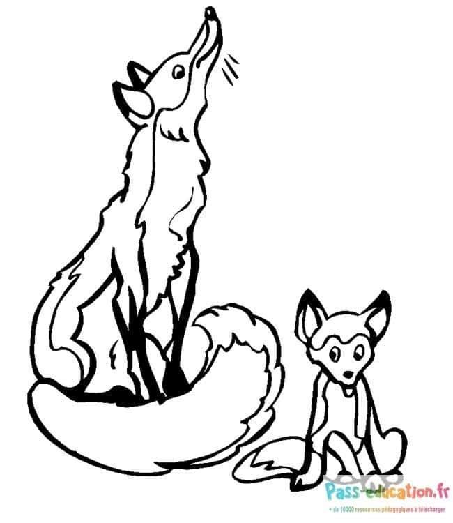 Coloriage Renards complices à imprimer et colorier