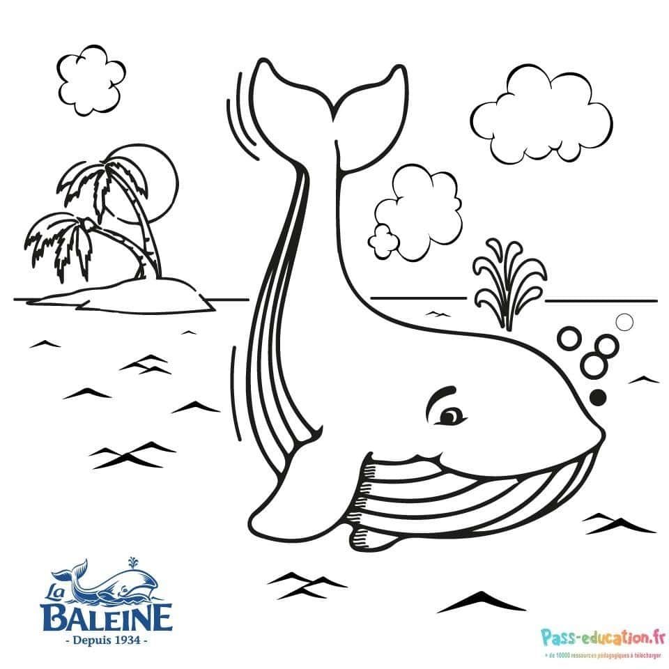Coloriage Baleine souriante à imprimer et colorier