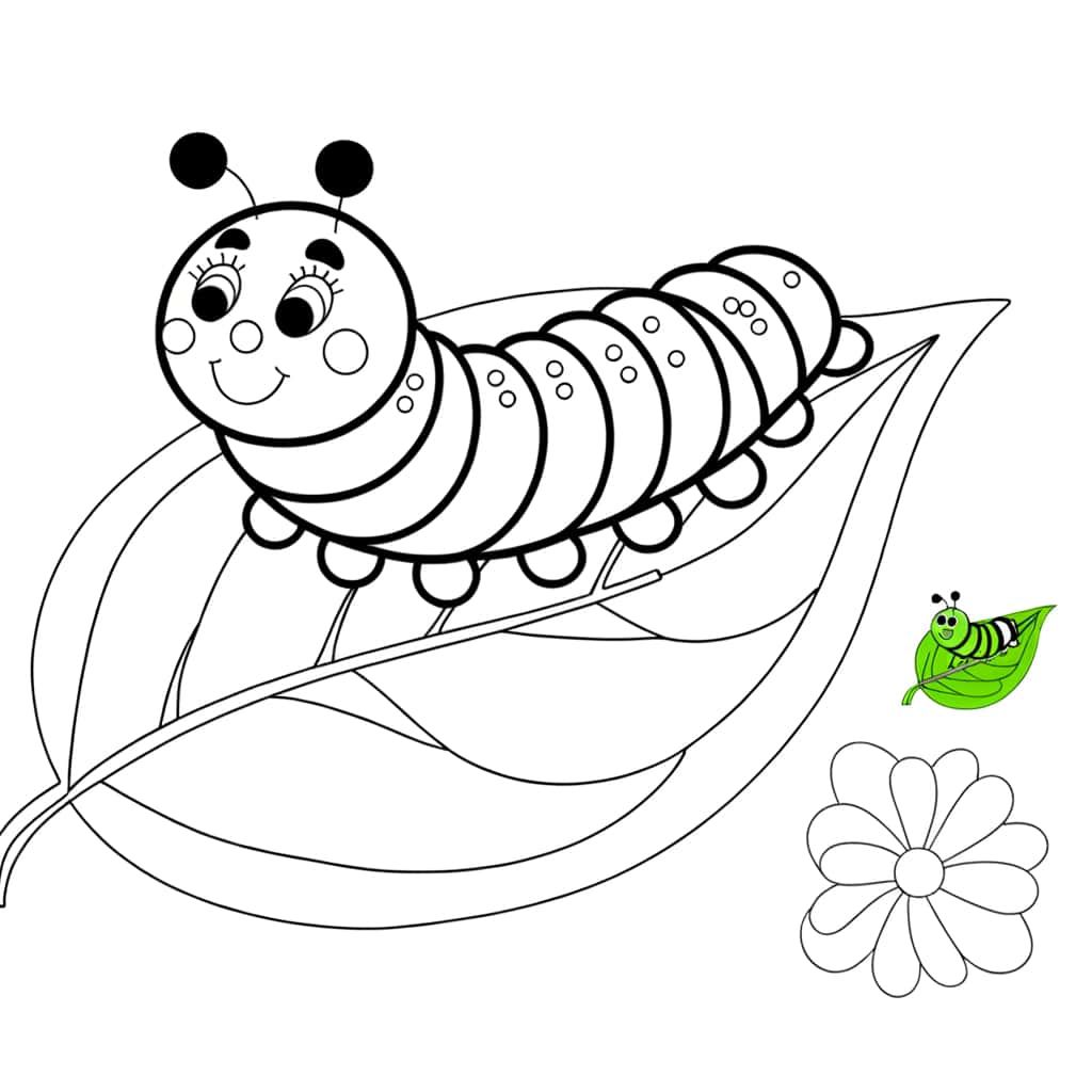 Coloriage Chenille et fleur à imprimer et colorier