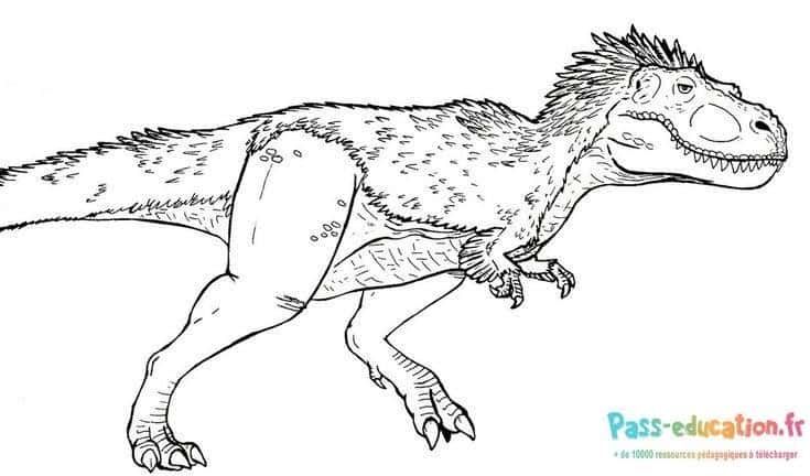 Coloriage T Rex souriant à imprimer et colorier