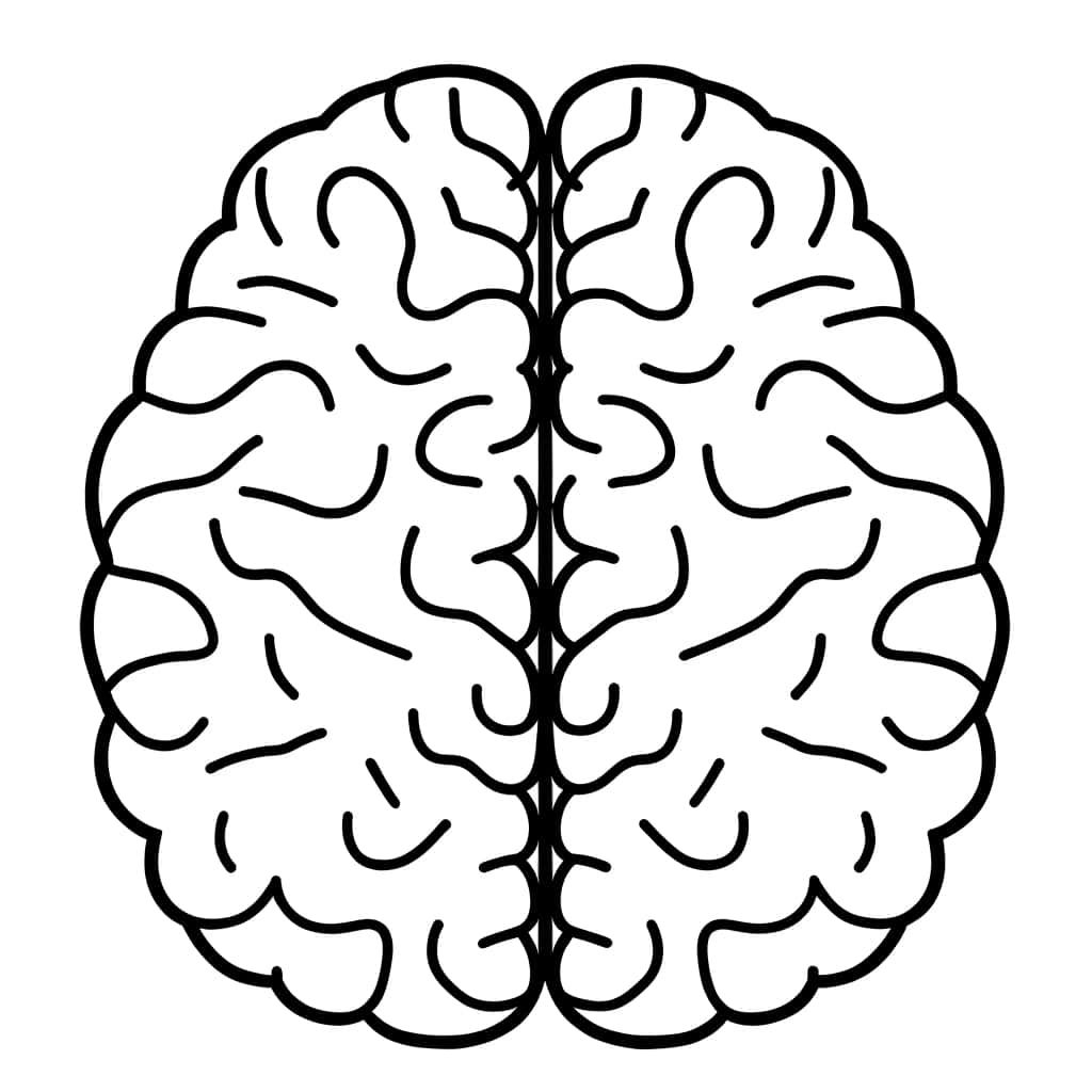 Coloriage Cerveau à imprimer et colorier
