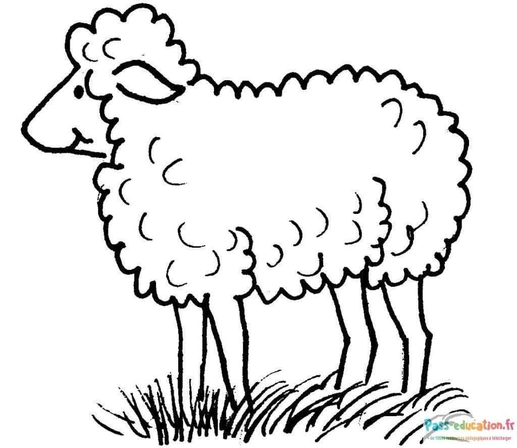 Coloriage Mouton dans l'herbe à imprimer et colorier