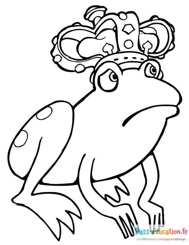 Coloriage Grenouille royale à imprimer et colorier