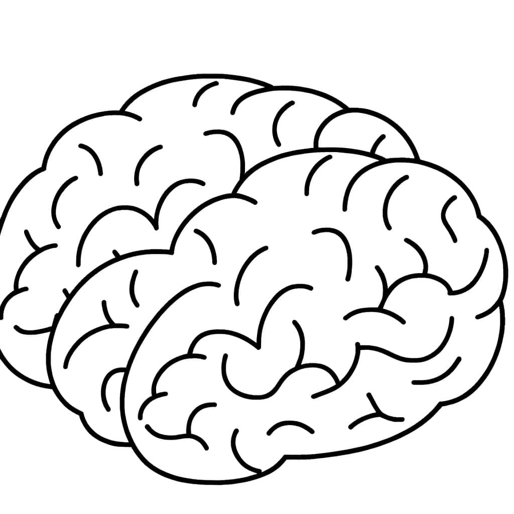Coloriage Cerveau à imprimer et colorier