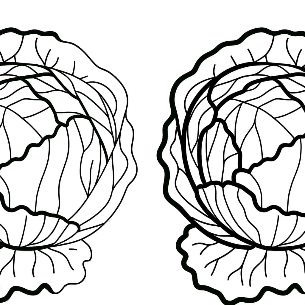 Coloriage Feuilles de chou à imprimer et colorier