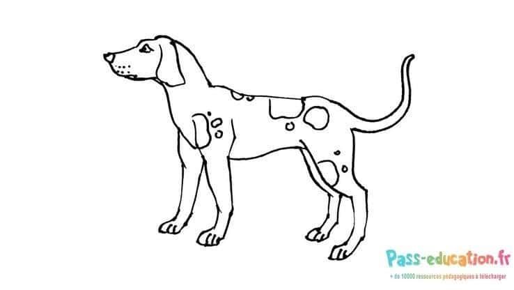Coloriage Chiot tacheté à imprimer et colorier