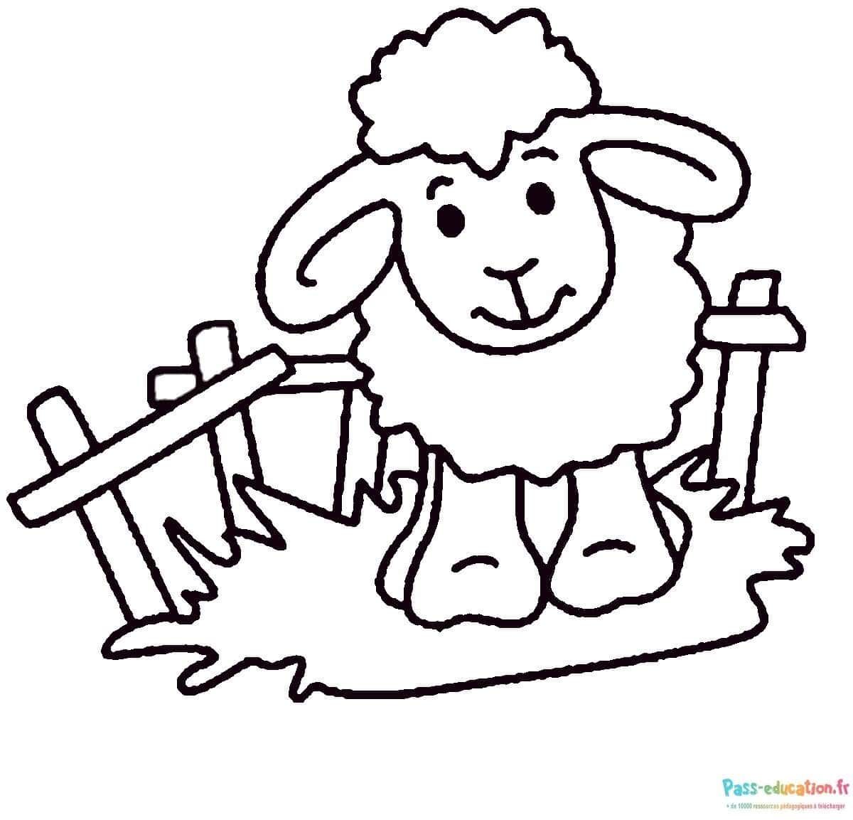 Coloriage Mouton à la ferme à imprimer et colorier