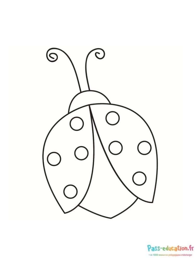 Coloriage Coccinelle stylisée à imprimer et colorier