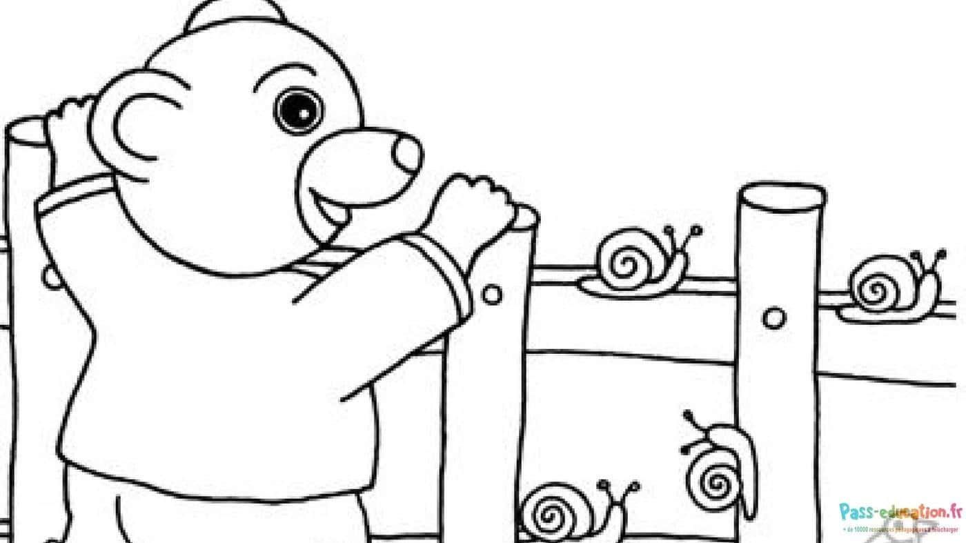 Coloriage Petit Ours Brun regarde des escargots à imprimer et colorier