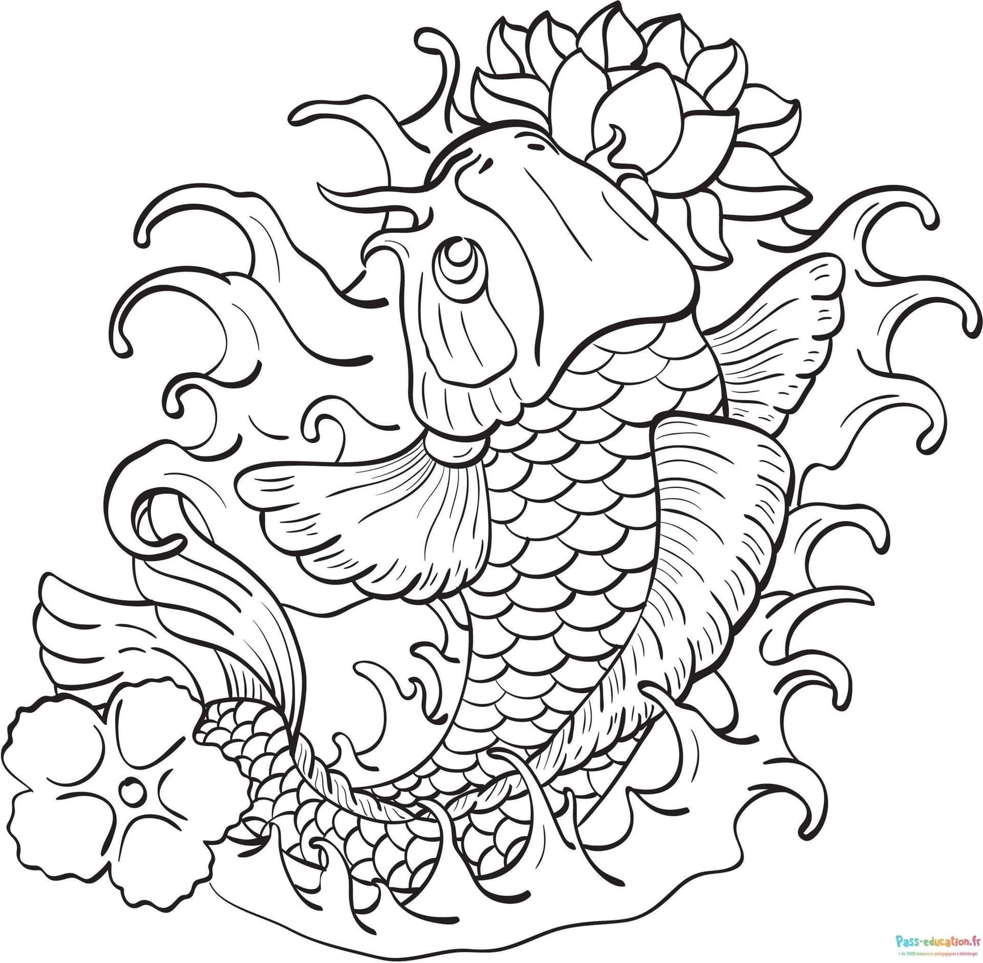 Coloriage Poisson Koi Japonais à imprimer et colorier