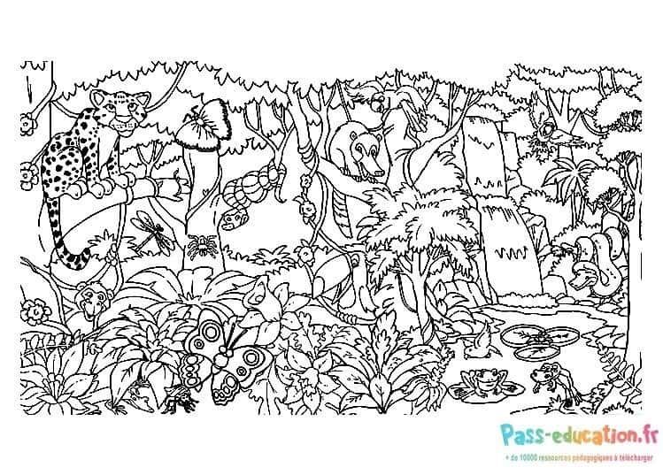 Coloriage Forêt tropicale à imprimer et colorier