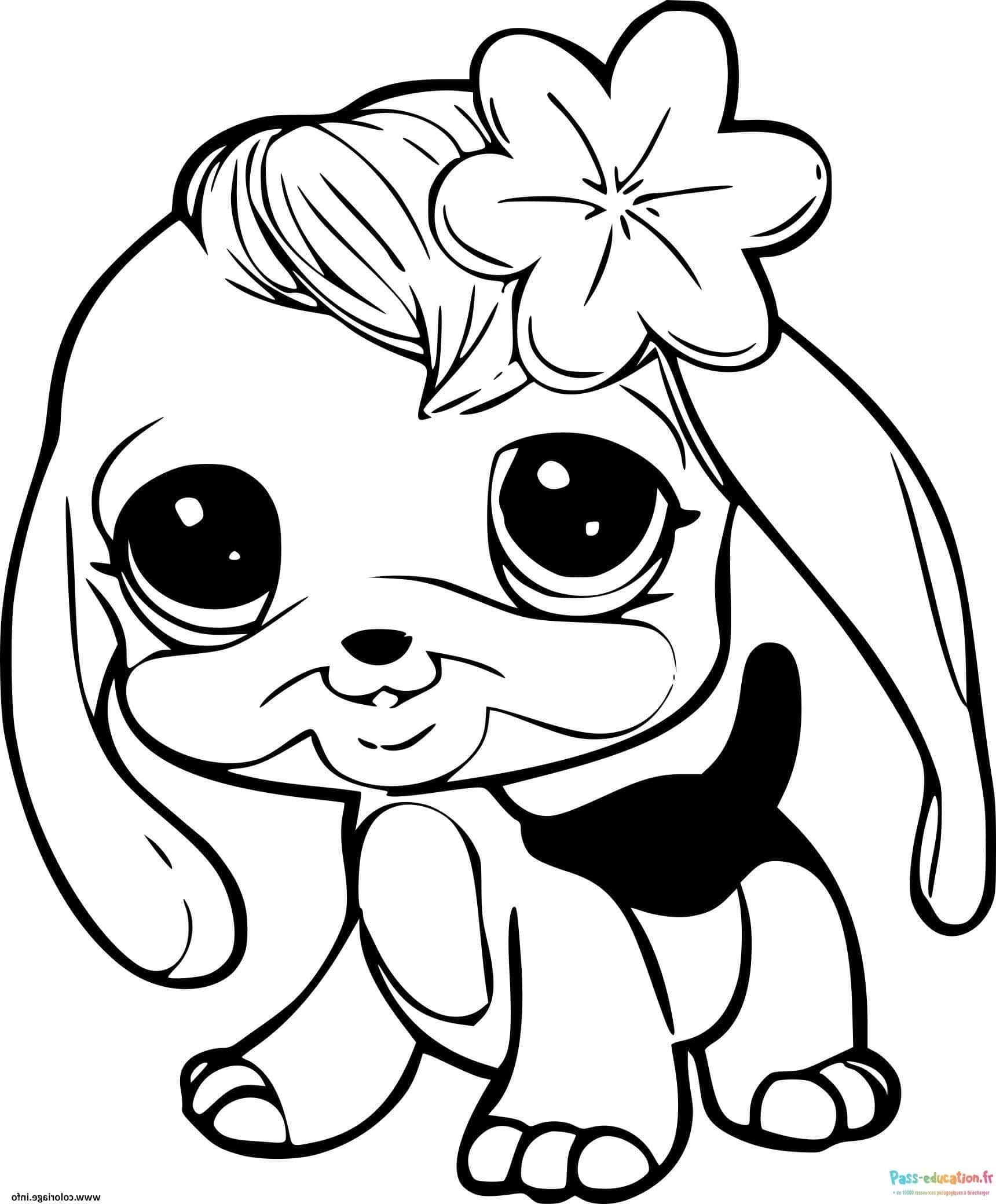 Coloriage Chiot mignon à imprimer et colorier